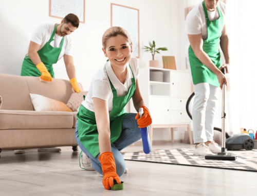 6 BENEFITS OF HIRING A PROFESSIONAL CLEANER FOR YOUR HOME