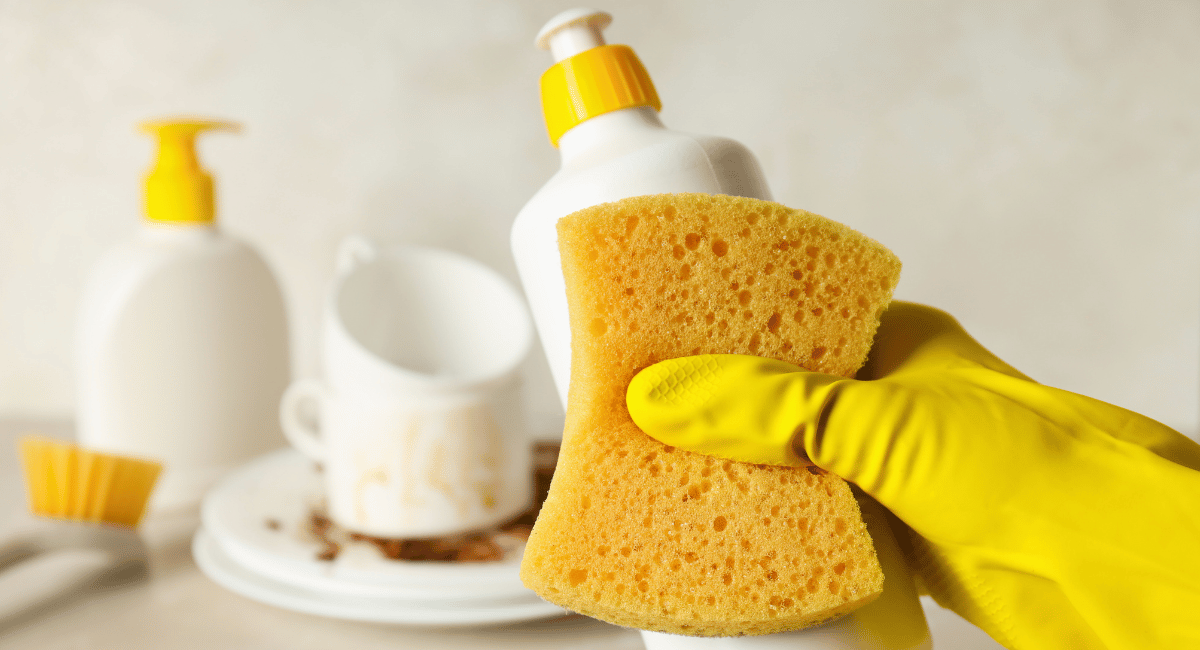 Switching to Pregnancy-Safe Cleaning Products - Dish Soap & Detergent