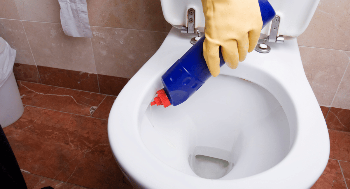 Switching to Pregnancy-Safe Cleaning Products - Toilet Bowl Cleaner