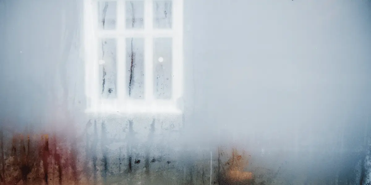 Understanding the Impact of Humidity on Your Home Understanding the Impact of Humidity on Your Home | Foggy Window in McKinney, TX