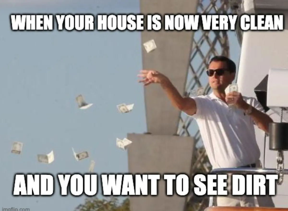 When your house is now very clean and you want to see dirt lol