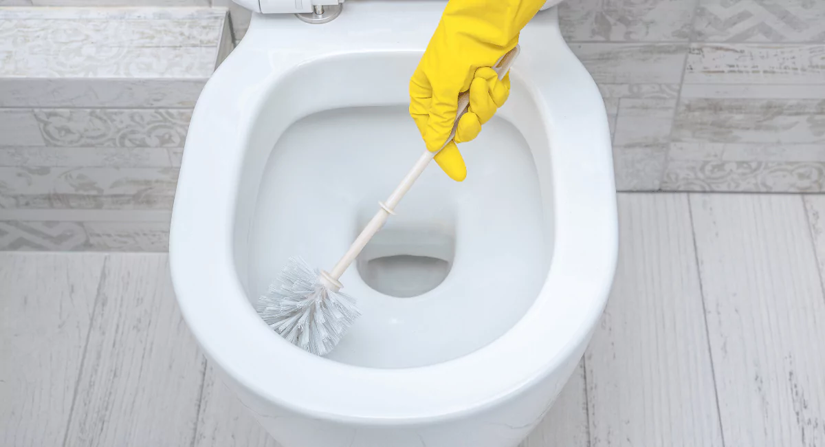 toilet-bowl-cleaner Switching to Pregnancy-Safe Cleaning Products - Best Toilet Bowl Cleaner