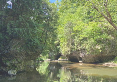 Allison R. Pierce Jr. Wetlands - Nature Sanctuary